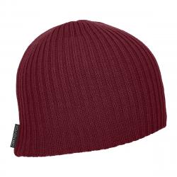 Double Rib Logo Beanie Dark Blood Onesize