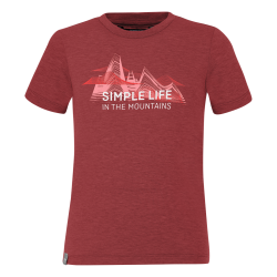 triko SALEWA SIMPLE LIFE DRY K S/S TEE SYRAH MELANGE